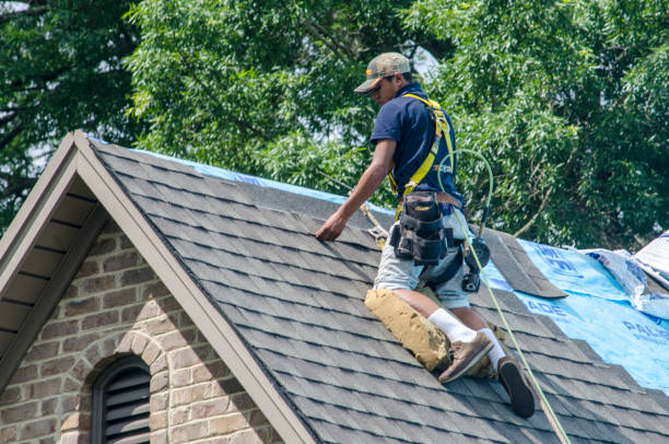 Best Flat Roof Repair Services  in Bluffton, OH
